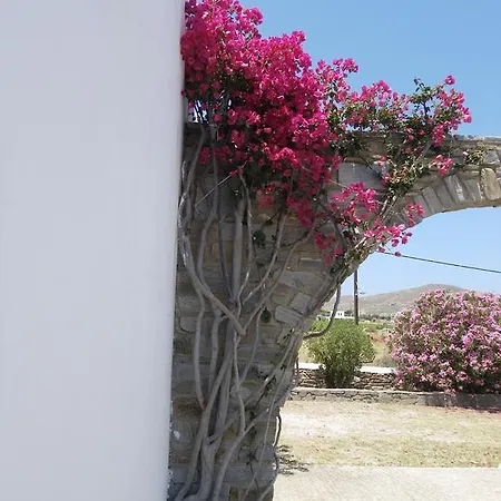 Alkionides Naousa (Paros)