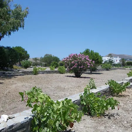 Alkionides Appartement *